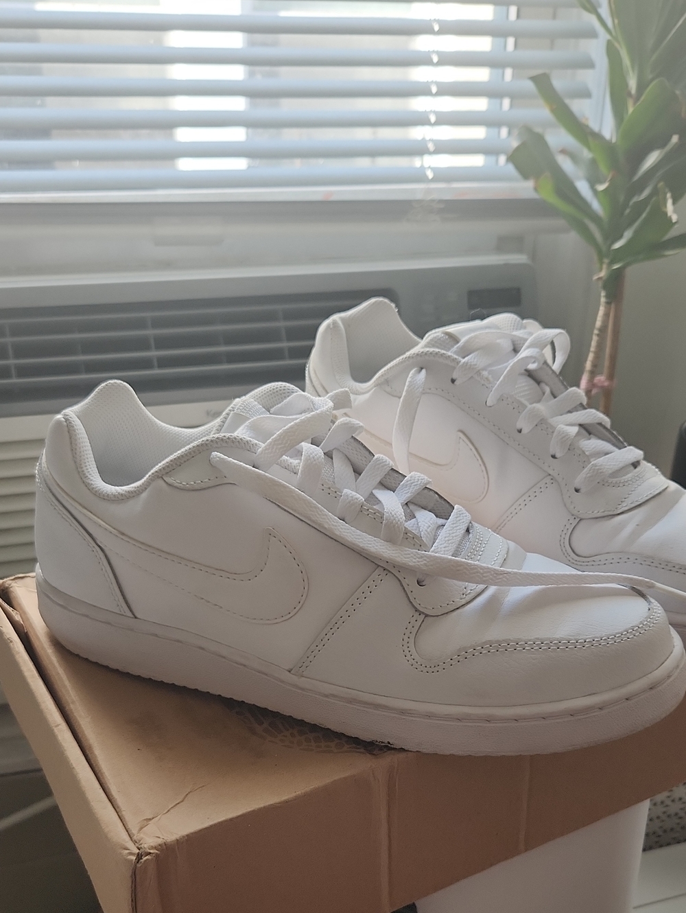 Nike Men’s White Low-Top Sneakers